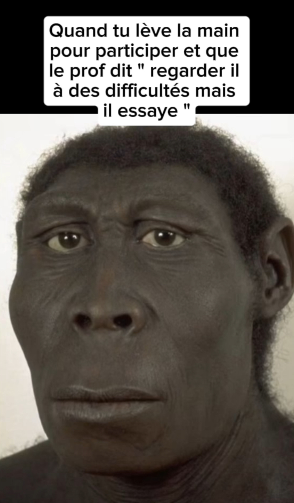 Le singe 🦧
